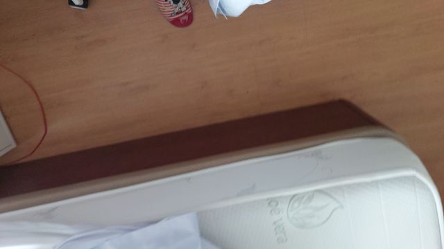 Colchón Aloe Vera con canapé