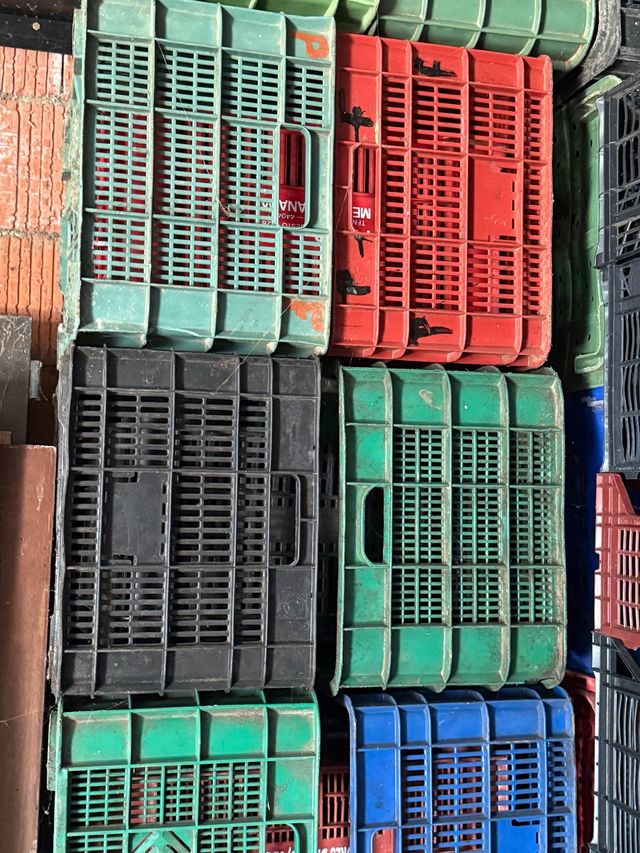 Cajas de Plástico para Fruta