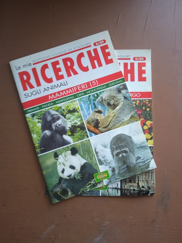 Fascicoli sfusi: Le mie ricerche, Tantissime fi