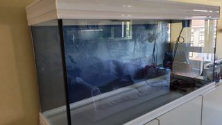 Acuario Aquatlantis 240L 