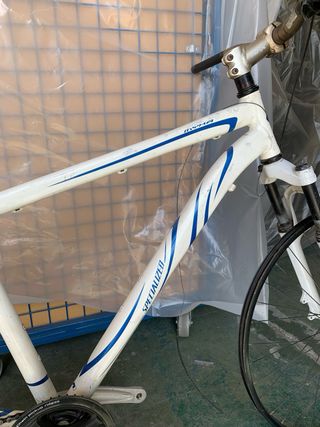 Bicicleta Specialized Rockhopper
