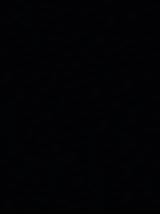 Vajilla vintage blanco y negro