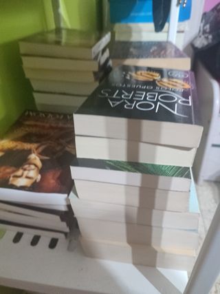 Romántica y misterio policiaca novelas libros