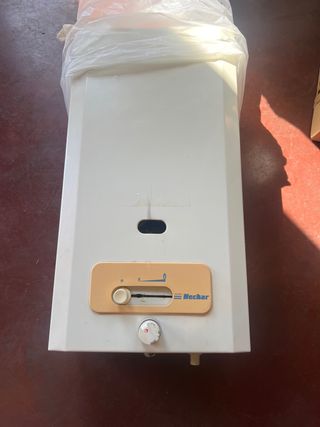 Calentador agua gas Neckar
