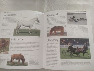 Atlas ilustrado de los caballos y ponis