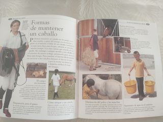 Atlas ilustrado de los caballos y ponis