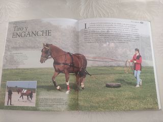 Atlas ilustrado de los caballos y ponis