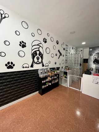 Traspaso Peluquería Canina Equipada
