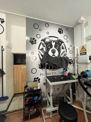 Traspaso Peluquería Canina Equipada