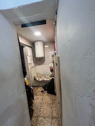Traspaso Peluquería Canina Equipada