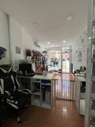 Traspaso Peluquería Canina Equipada