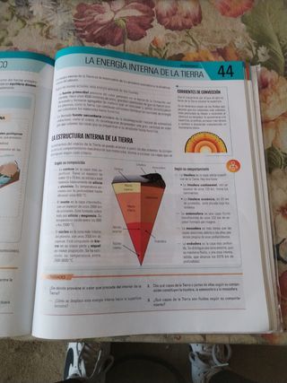 BIOLOGIA Y GEOLOGIA II