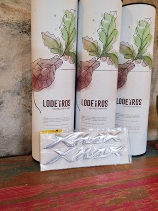 2x Pegatinas Yamaha Xmax