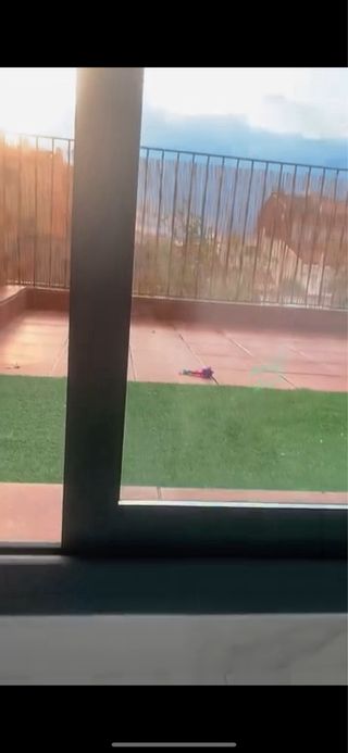 Cesped artificial - Alfombra verde