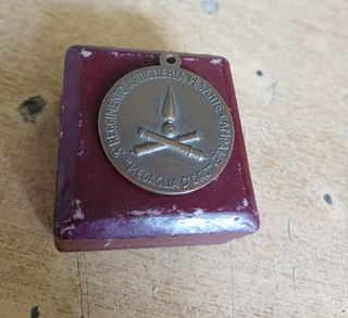 Medaglia 3° Reggimento Artiglieria