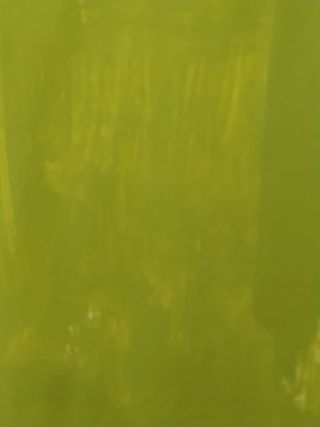 Pintura plástica mate Tkrom 1L