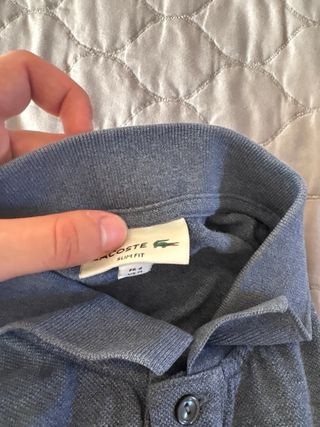 Polo Lacoste gris - nuevo
