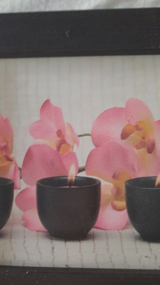 3 Cuadros Decorativos Flores y Spa.