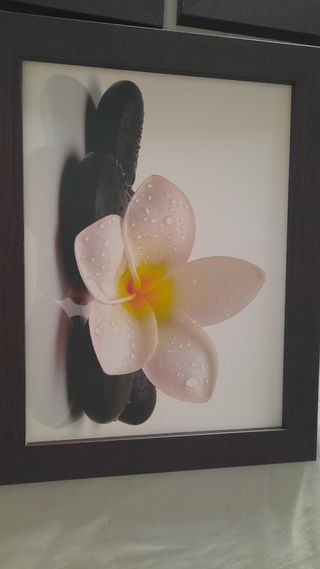 3 Cuadros Decorativos Flores y Spa.