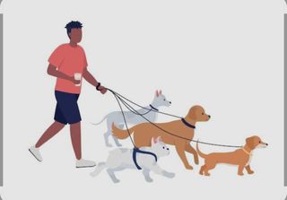 Paseador/cuidador de perros