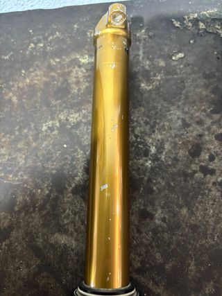 Espigão Telescópio fox kashima