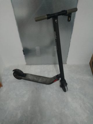 Segway Ninebot E45D Patinete