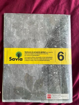 Libros 6 primaria