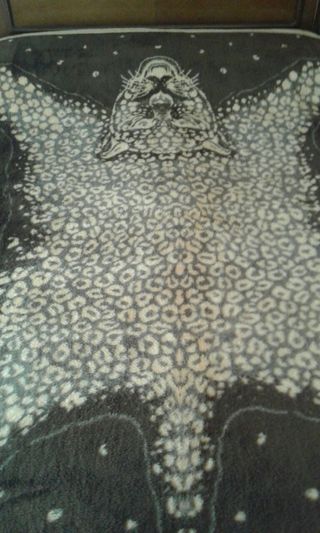 Manta de tigre 
