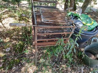 Barbecue a carbonella