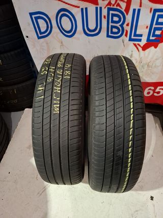 Michelin 195/55 R20 95H usadas