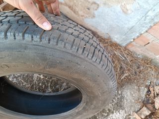 Neumático Firestone F560 usado
