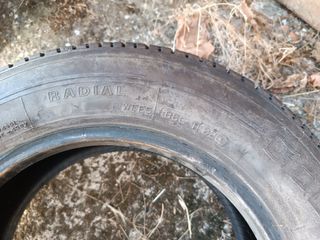 Neumático Firestone F560 usado
