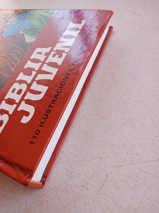 Biblia Juvenil, Mary Theola.