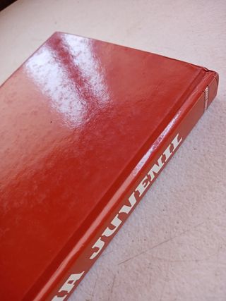 Biblia Juvenil, Mary Theola.