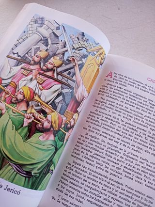 Biblia Juvenil, Mary Theola.