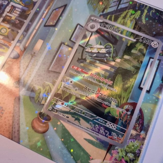 Cornice Dunsparce Ferrothorn 13×18 plexi holo