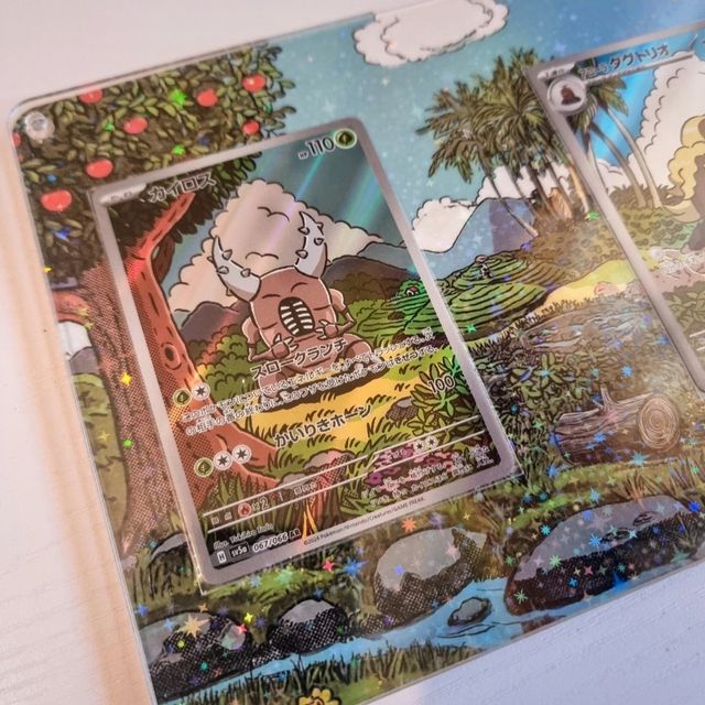 Cornice Pinsir Dugtrio 13×18 plexiglass holo