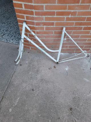 Cuadro bici paseo Orbea