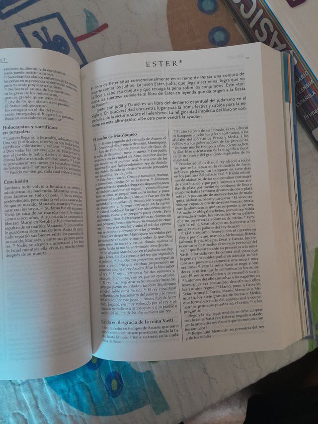 La Biblia didáctica