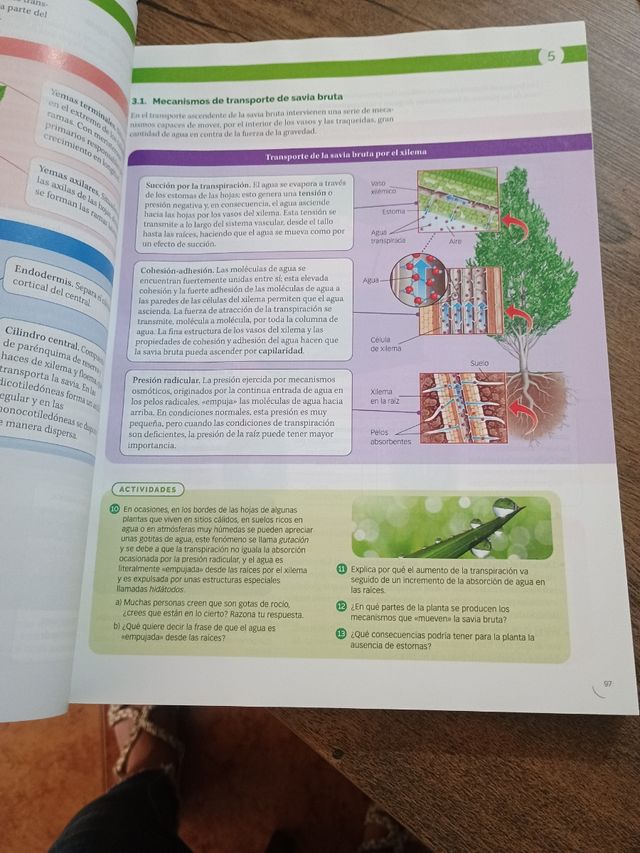 Biología, Geología y Ciencias Ambientales 1º Bachi