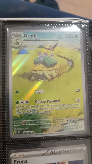 Carta Pokémon Grotle - 164/162
