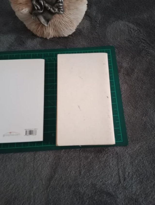 2 Libros Religiosos + Adorno de crsto