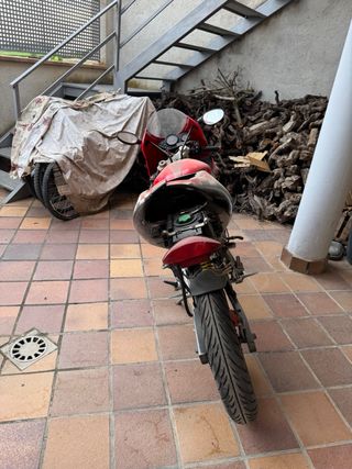 Derbi gpr 50cc replica