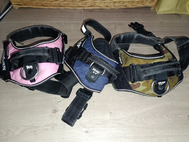 Pettorine Julius K9 - 3 pezzi