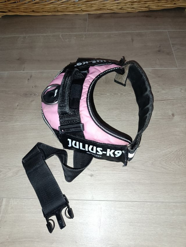 Pettorine Julius K9 - 3 pezzi