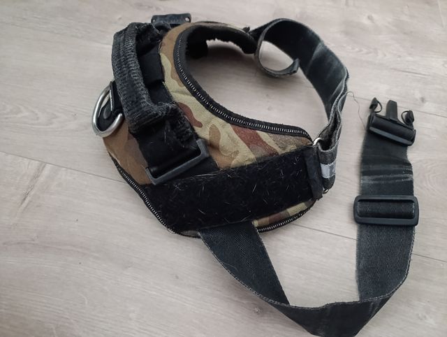 Pettorine Julius K9 - 3 pezzi