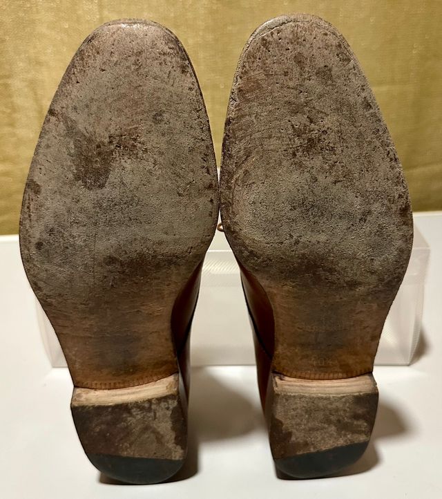 Zapatos caballero cordones marca Campanile Marrón