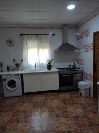 Parcela rustica con jardín y 100 olivos.