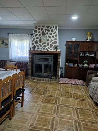 Parcela rustica con jardín y 100 olivos.