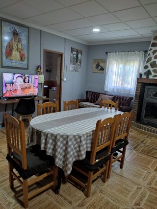 Parcela rustica con jardín y 100 olivos.